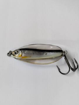 Cucharilla Erratic Shiner 14Grs