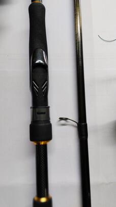 Caña DAIWA BG Seabass 3.20m (60-120Grs)