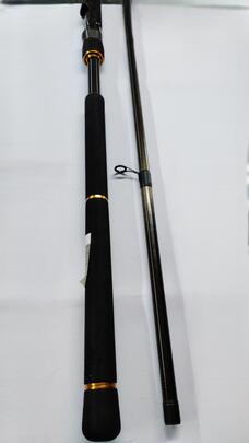 Caña DAIWA BG Seabass 3.20m (60-120Grs)